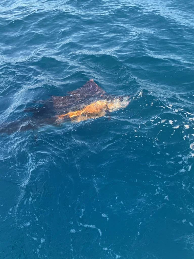 Fishing in Jupiter, Florida
