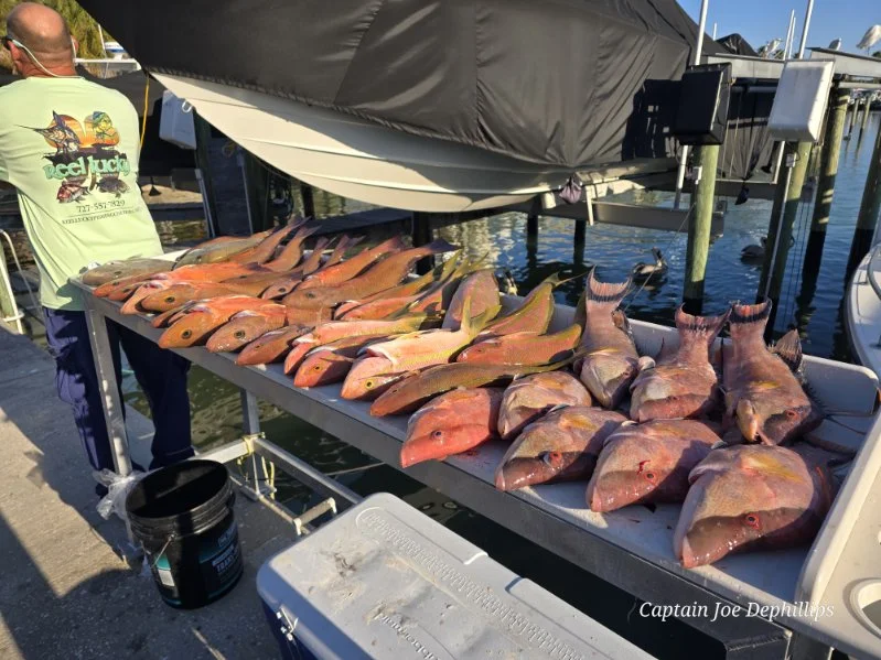 Fishing in Gulfport, Florida