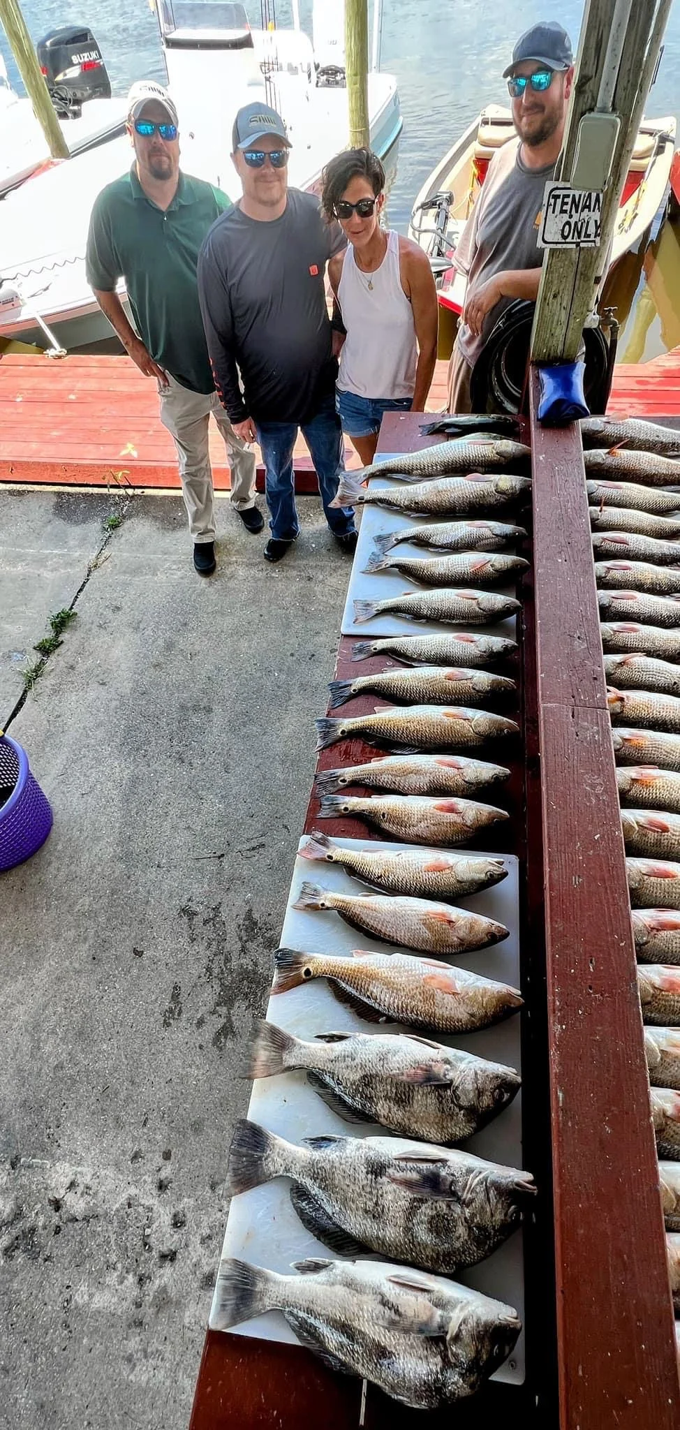 Largemouth Bass, Redfish fishing in Saint Bernard, Louisiana
