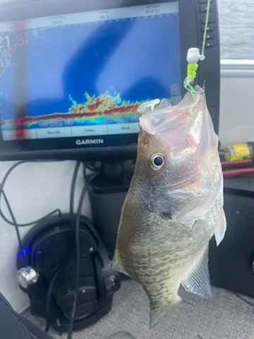 Fishing in Montgomery, Alabama