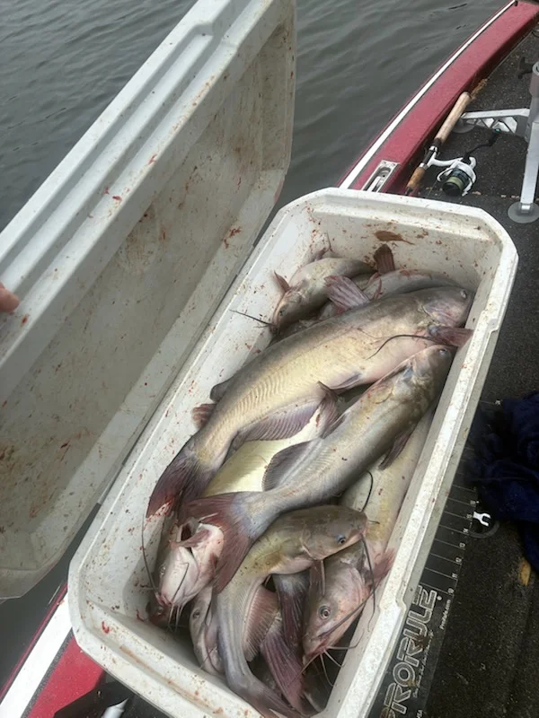 Fishing in Scroggins, Texas