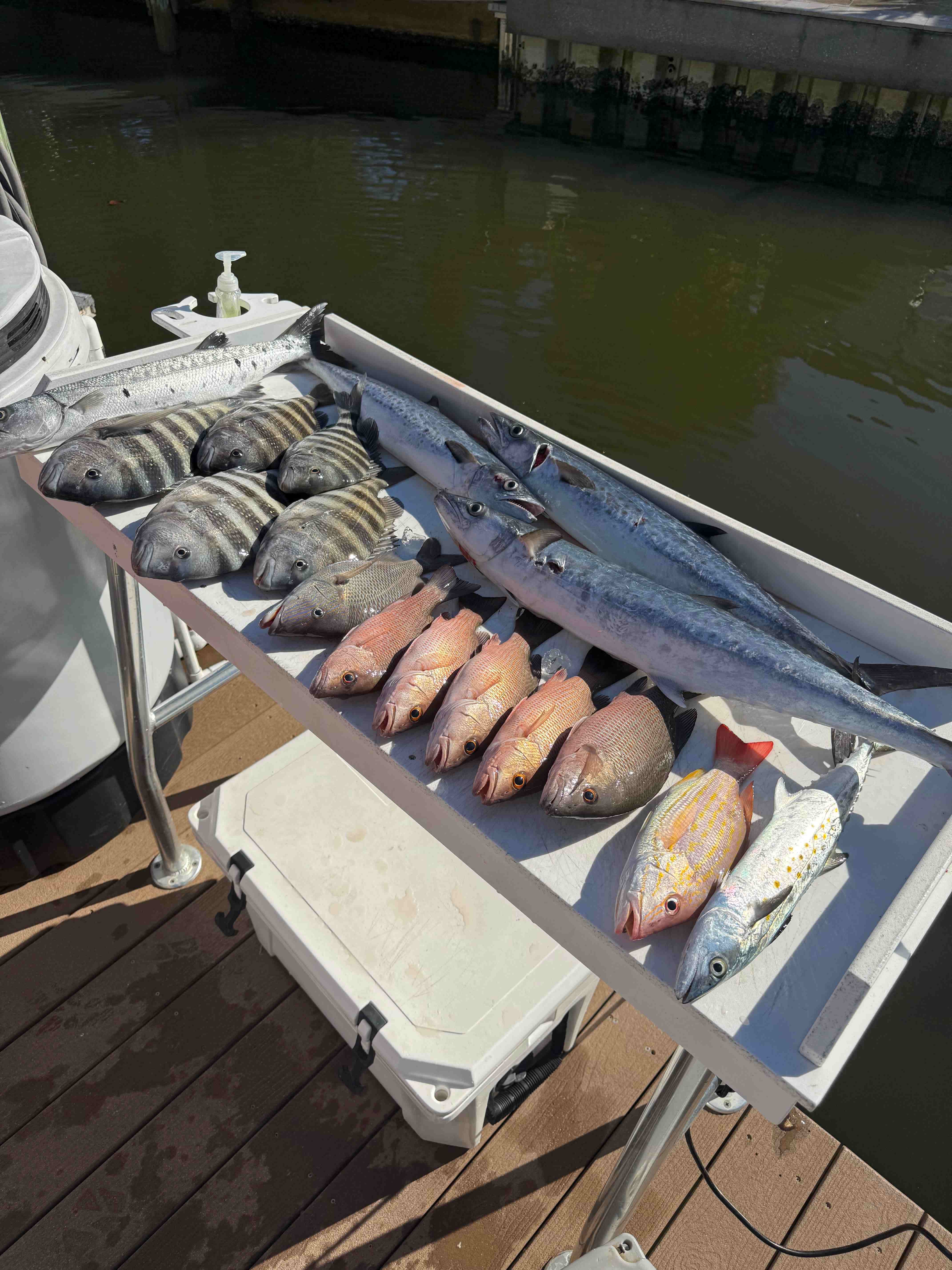 Fishing in Sarasota, Florida