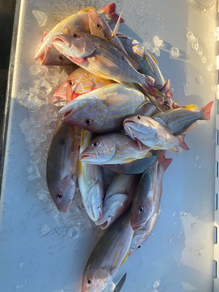 Fishing in Key West, Florida