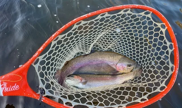 Fishing in Hume, California