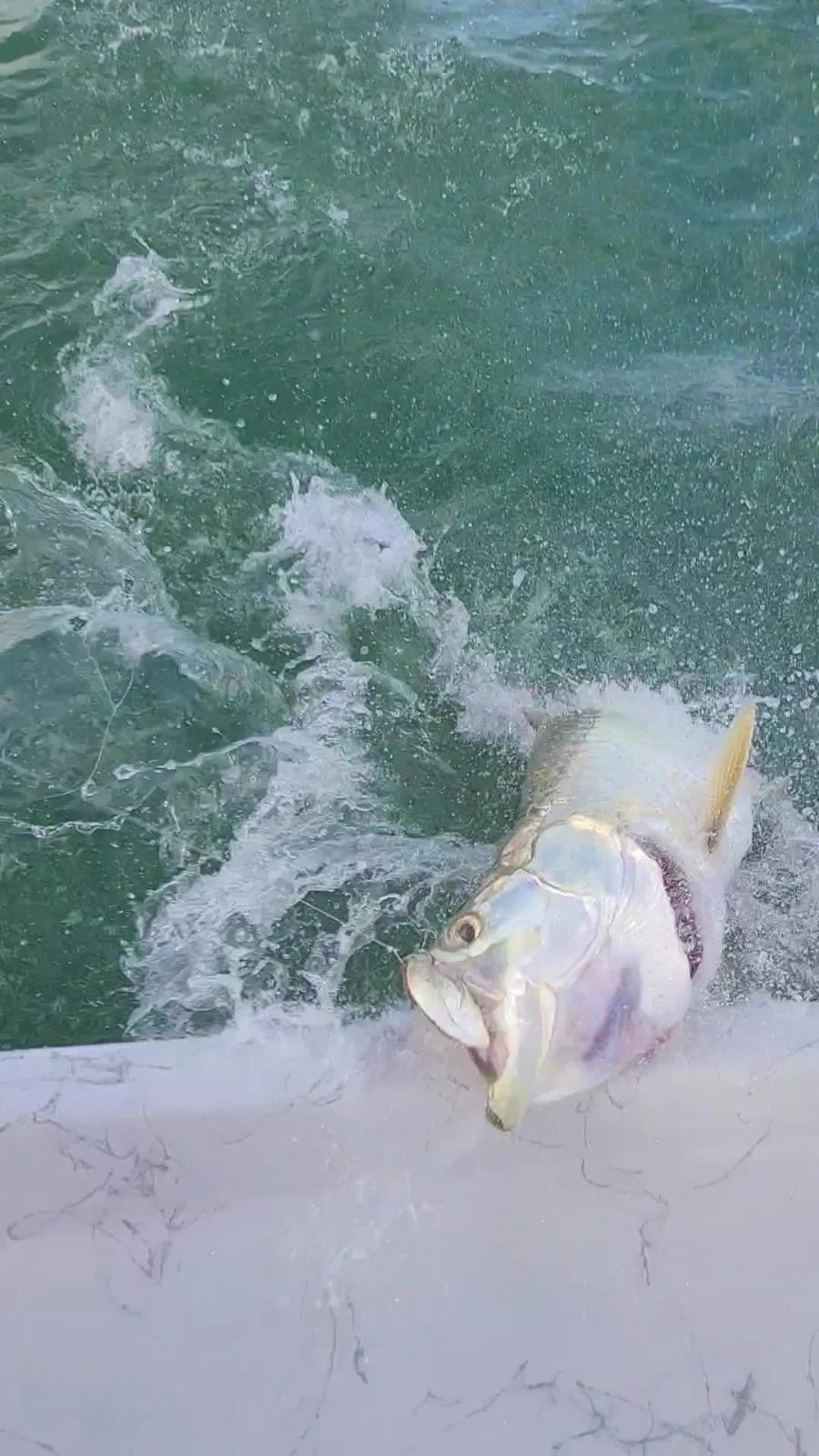 Tarpon fishing in Port O'Connor, Texas