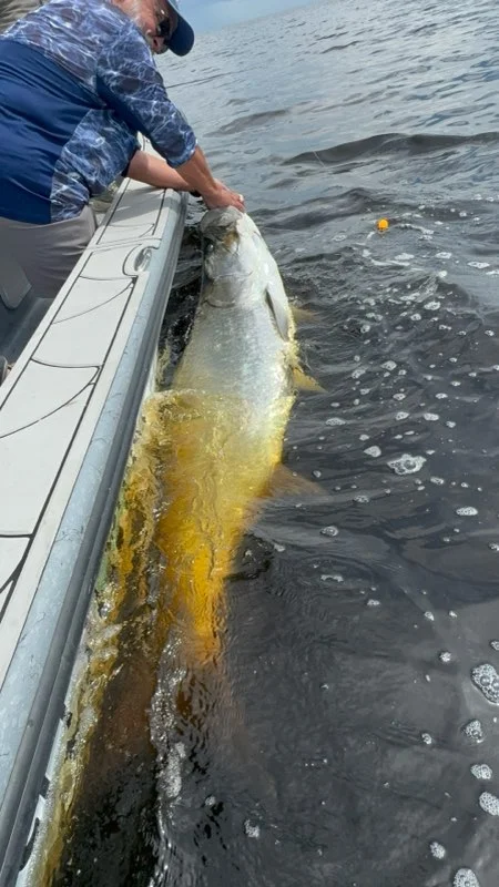 Fishing in Punta Gorda, Florida