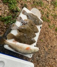 Vermillion Snapper Fishing in Destin, Florida