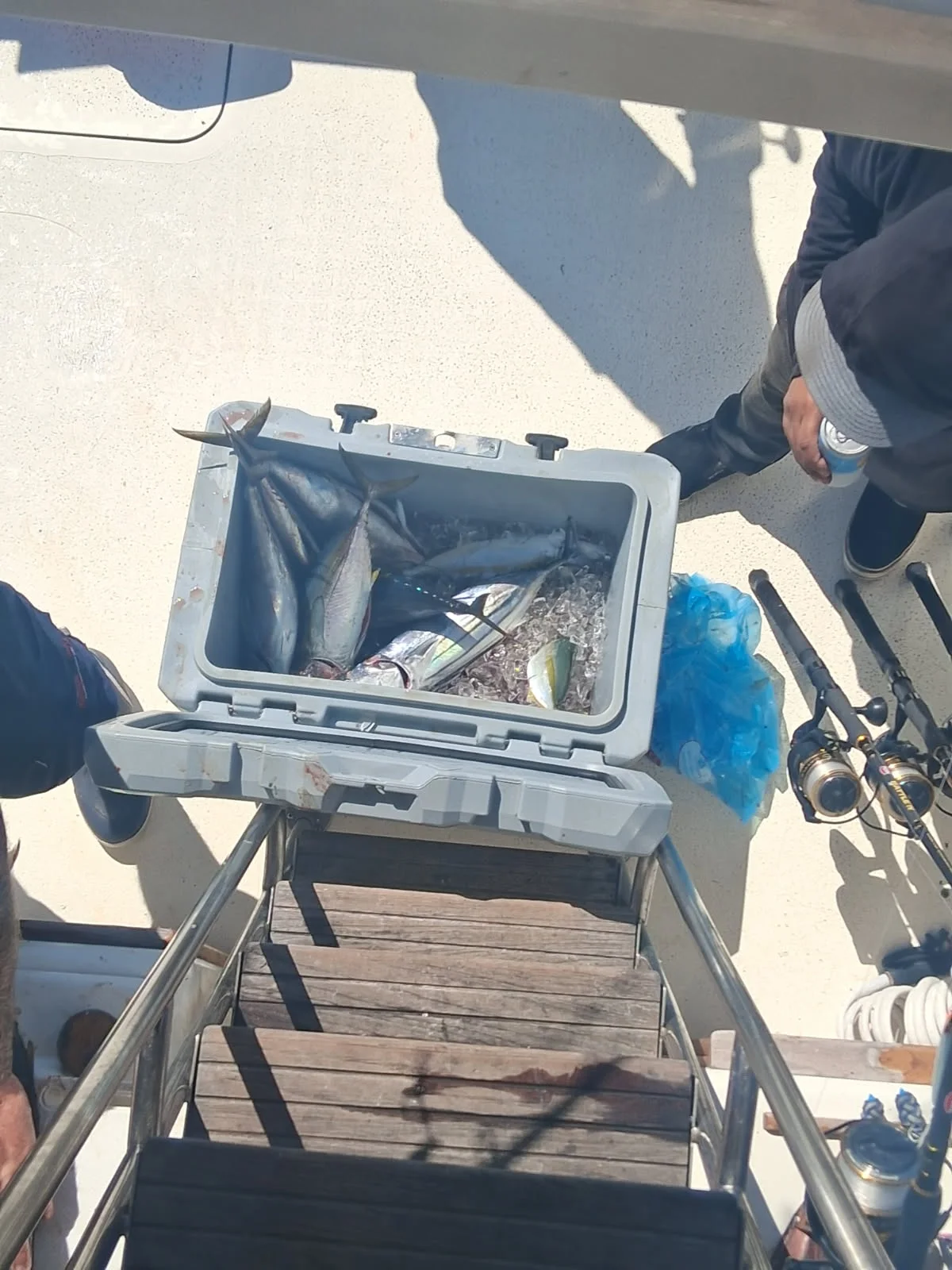 Fishing in Dana Point, California