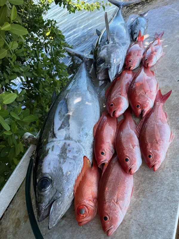 Fishing in Stuart, Florida