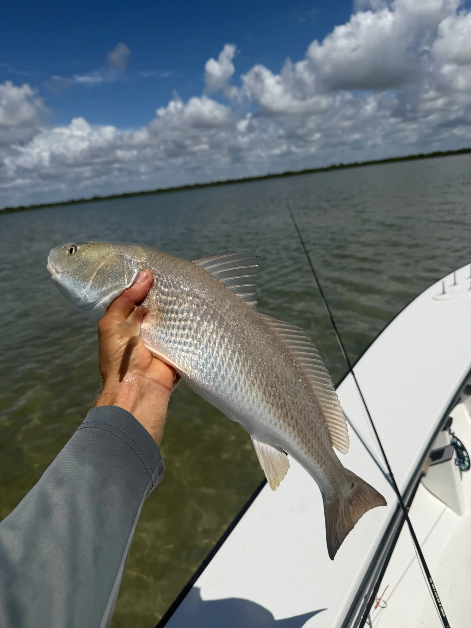 Fishing in Key Largo, Florida
