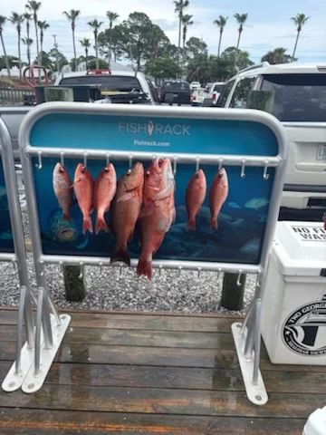 Mangrove Snapper, Red Snapper, Vermillion Snapper Fishing in Shalimar, Florida