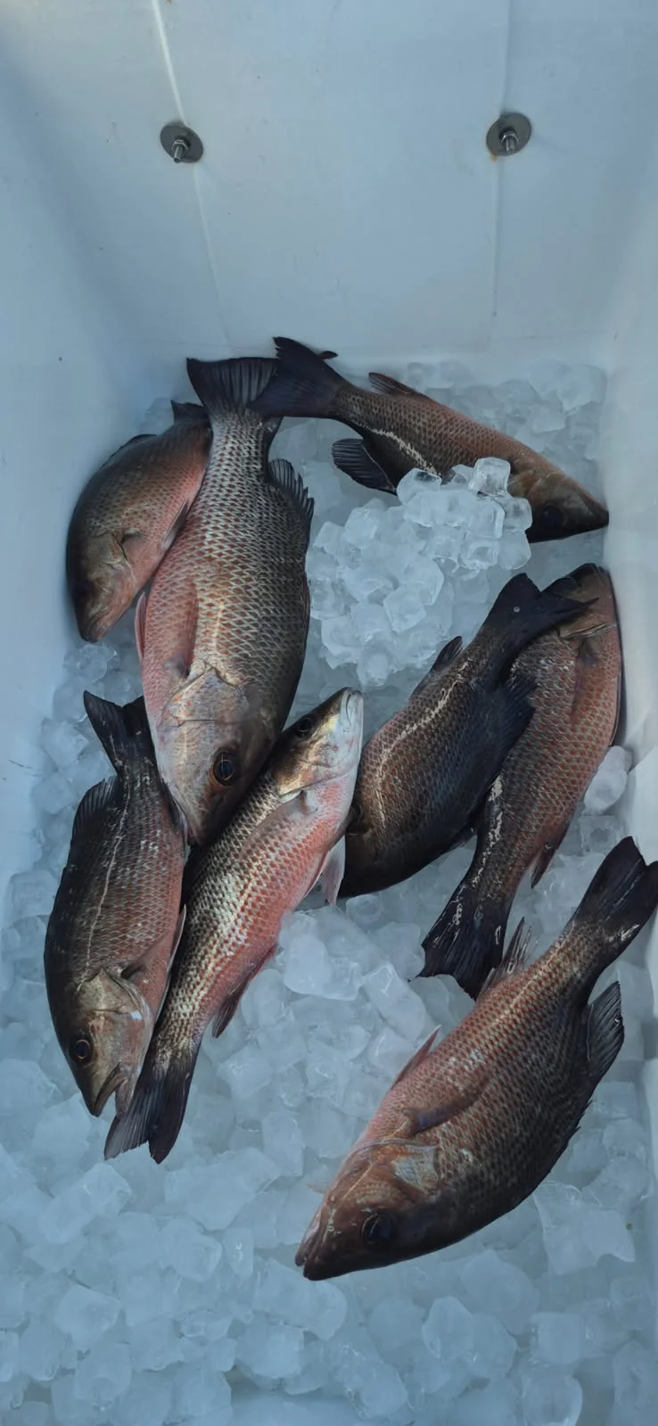Fishing in Vero Beach, Florida