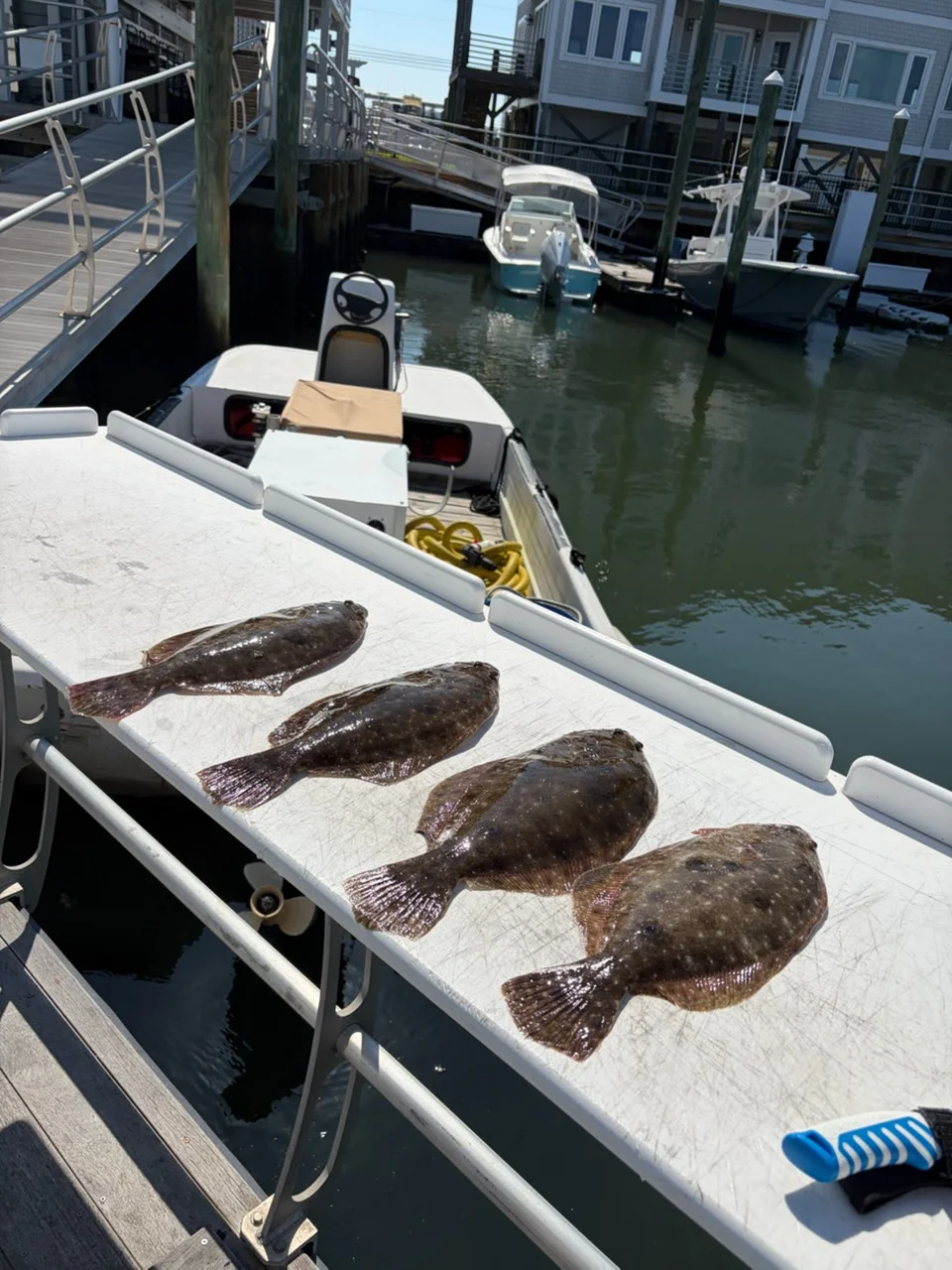 Fishing in Wrightsville Beach, North Carolina