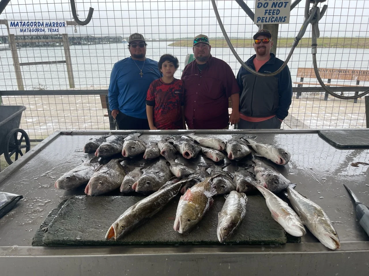 Black Drum, Redfish, Speckled Trout Fishing in Palacios, Texas