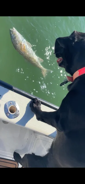 Fishing in Galveston, Texas