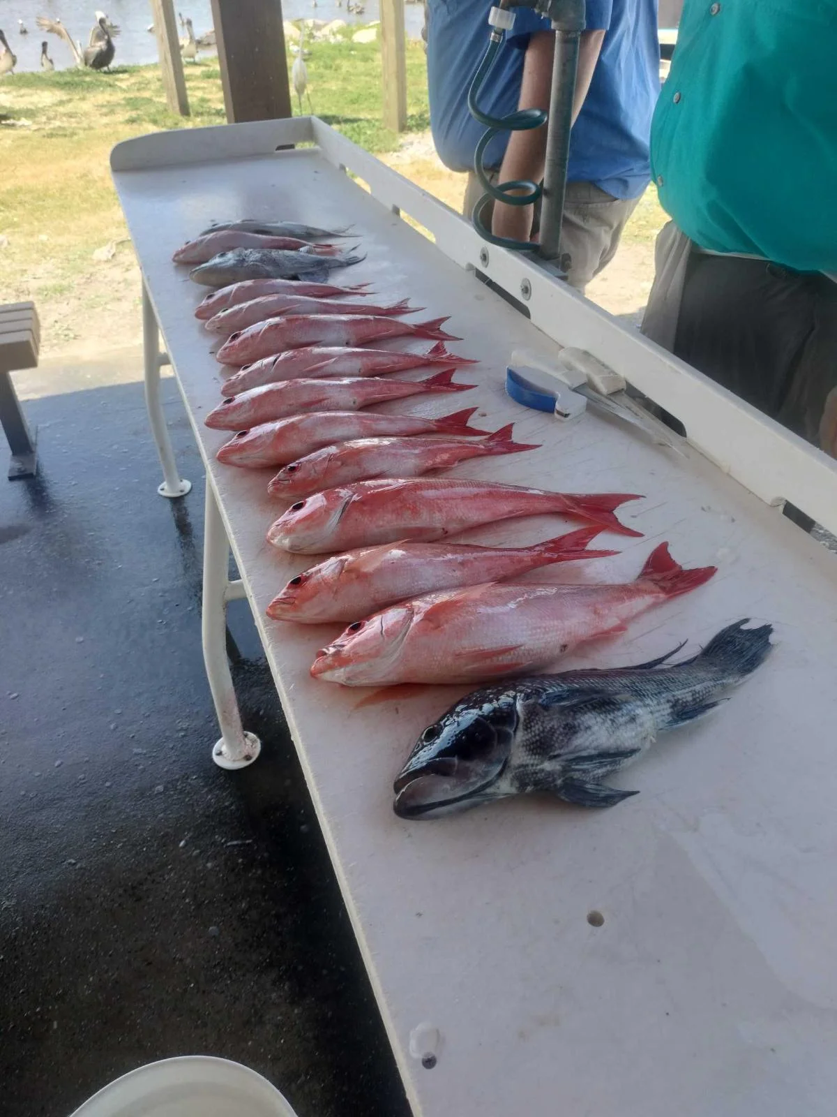 Fishing in Jacksonville, Florida