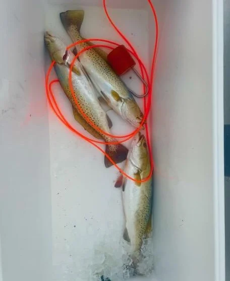 Redfish, Speckled Trout Fishing in Corpus Christi, Texas