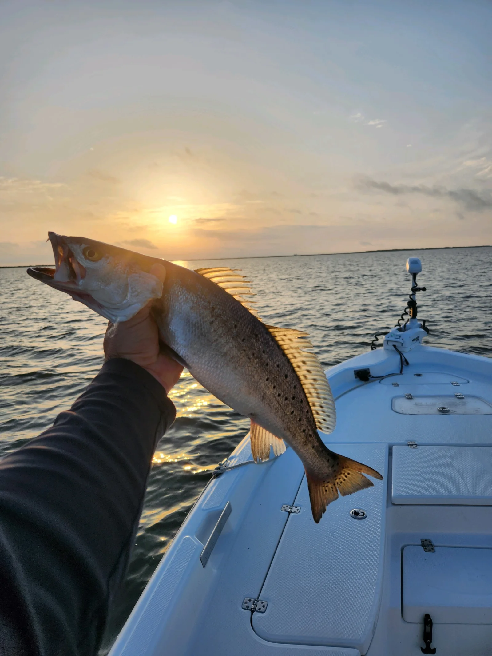 Speckled Trout Fishing in Yscloskey, Louisiana