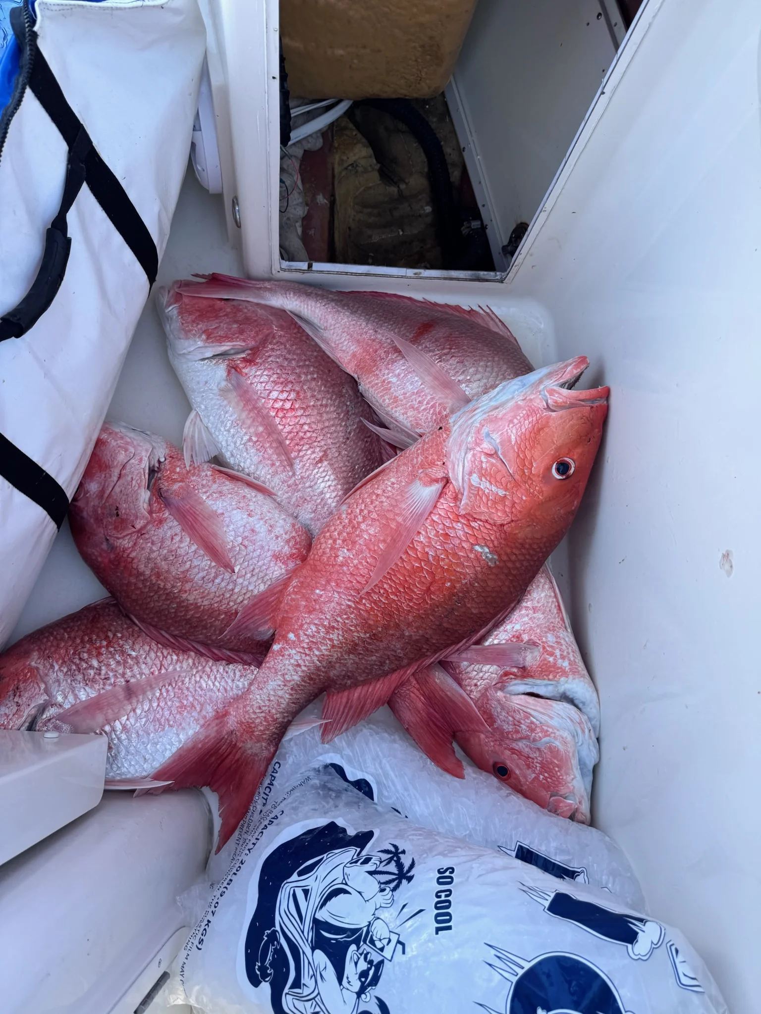 Fishing in Freeport, Texas