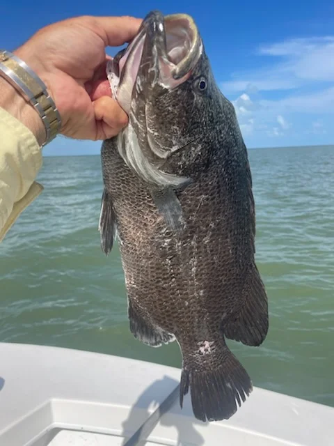 Fishing in Loxahatchee Groves, Florida