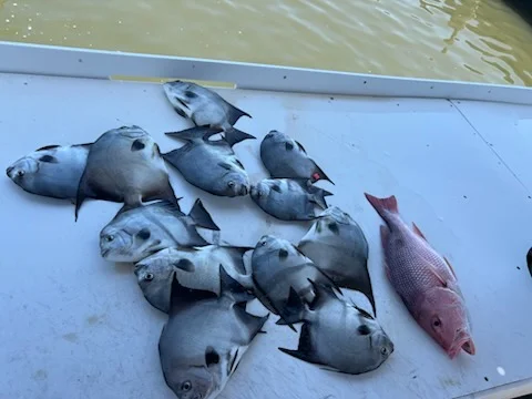 Fishing in Gulf Shores, Alabama