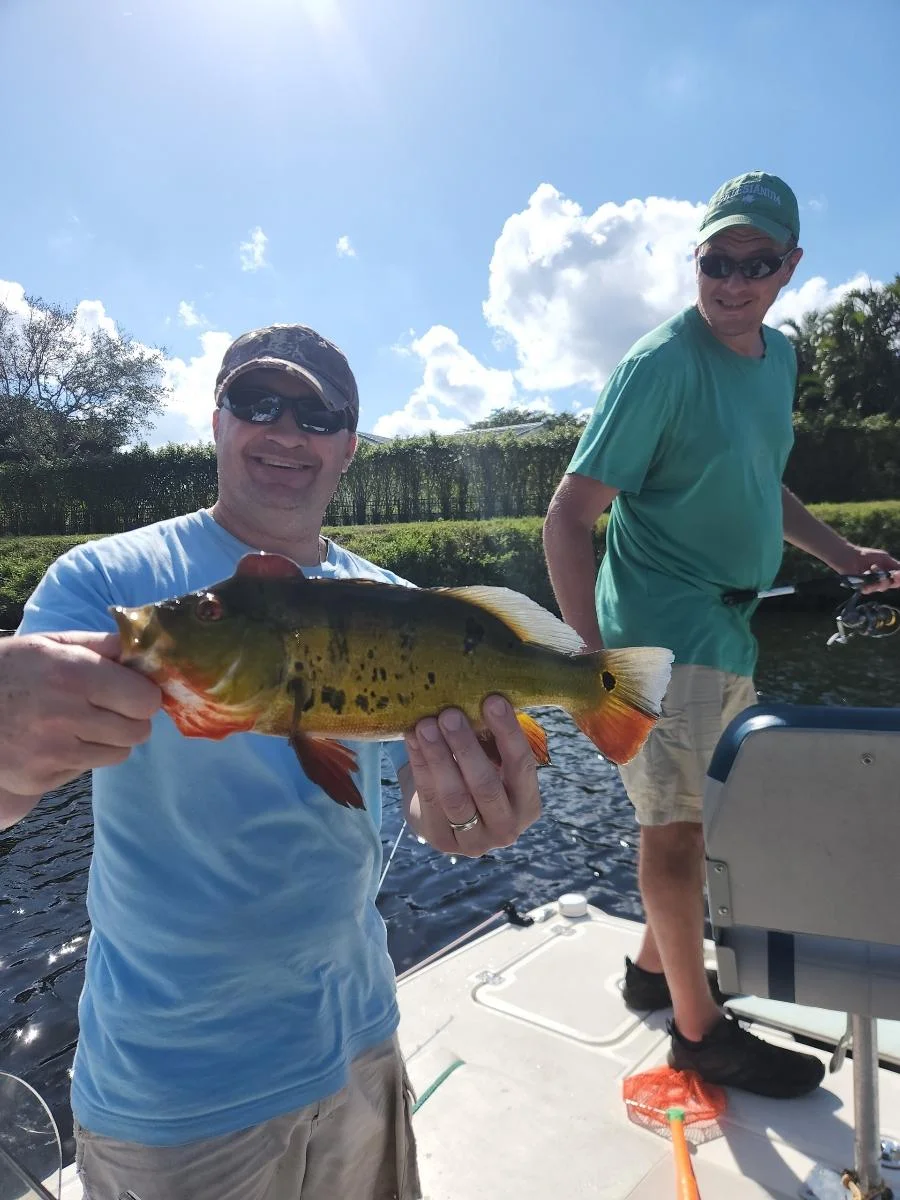 Peacock Bass Fishing in Wellington, Florida