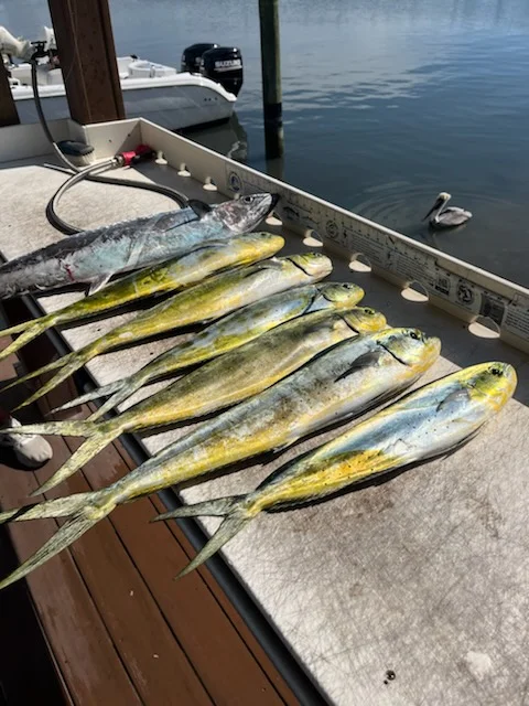 Fishing in Jupiter, Florida