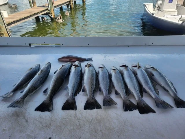 Fishing in Gulf Shores, Alabama