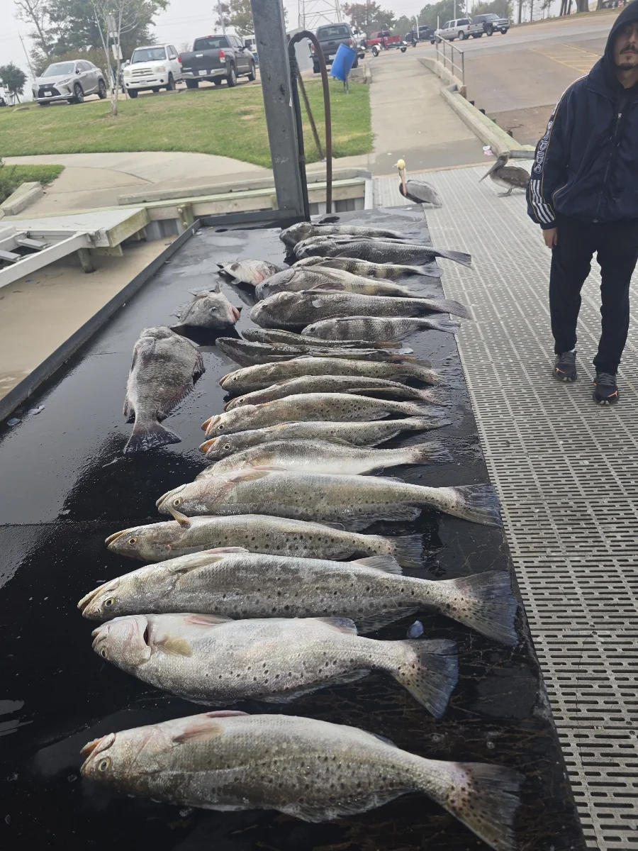 Fishing in Galveston, Texas