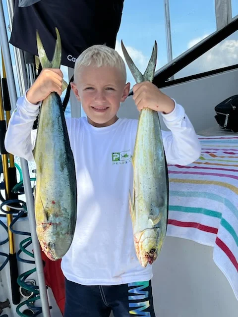 Blackfin Tuna fishing in Naples, Florida