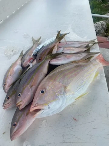 Fishing in Key West, Florida