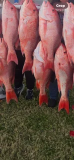 Fishing in Panama City, Florida