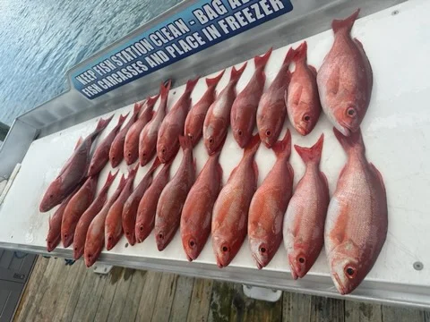 Red Snapper, Vermillion Snapper Fishing in Destin, Florida