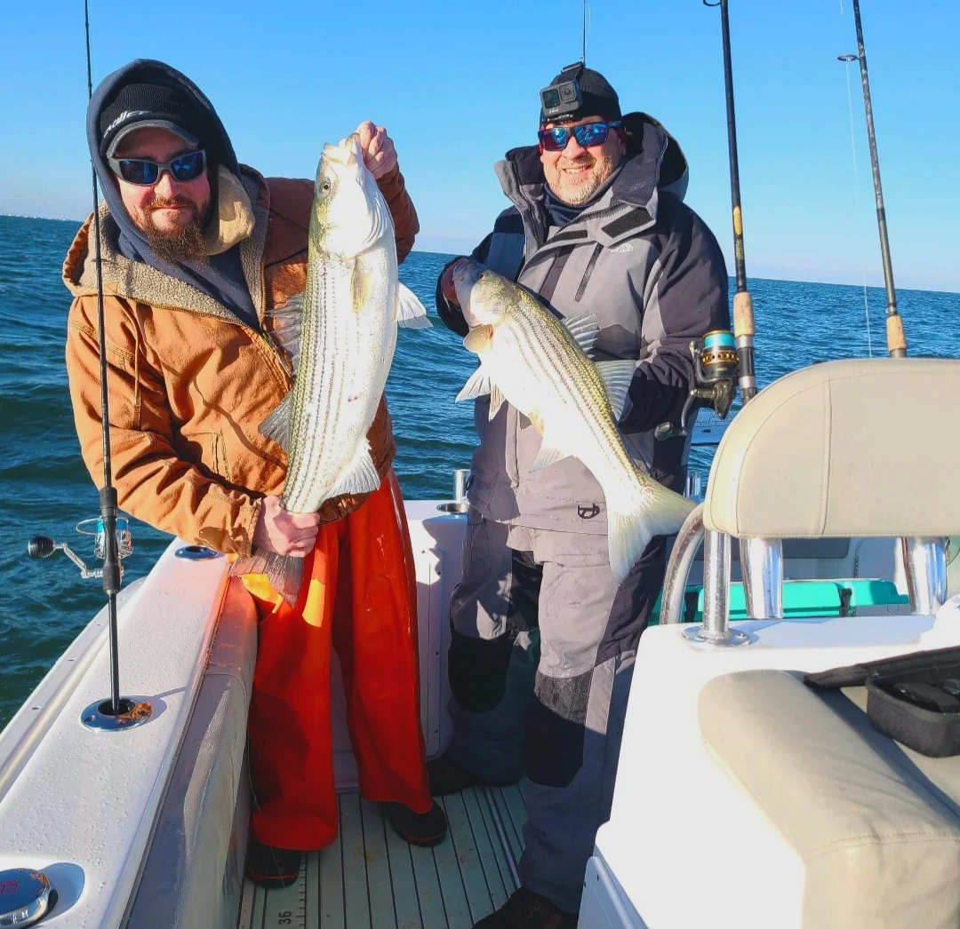 Hybrid Striped Bass Fishing in Stone Harbor, New Jersey