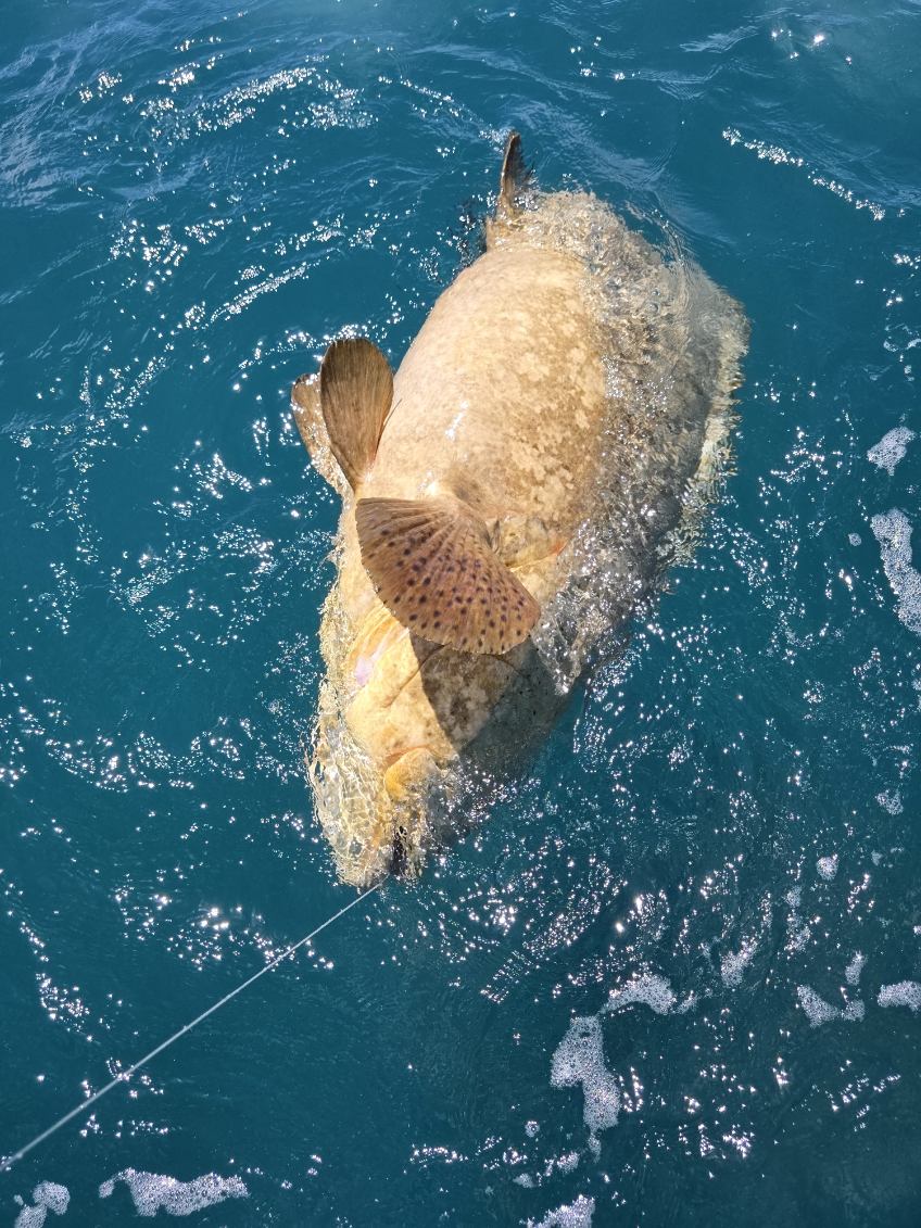 Fishing in Port Orange, Florida