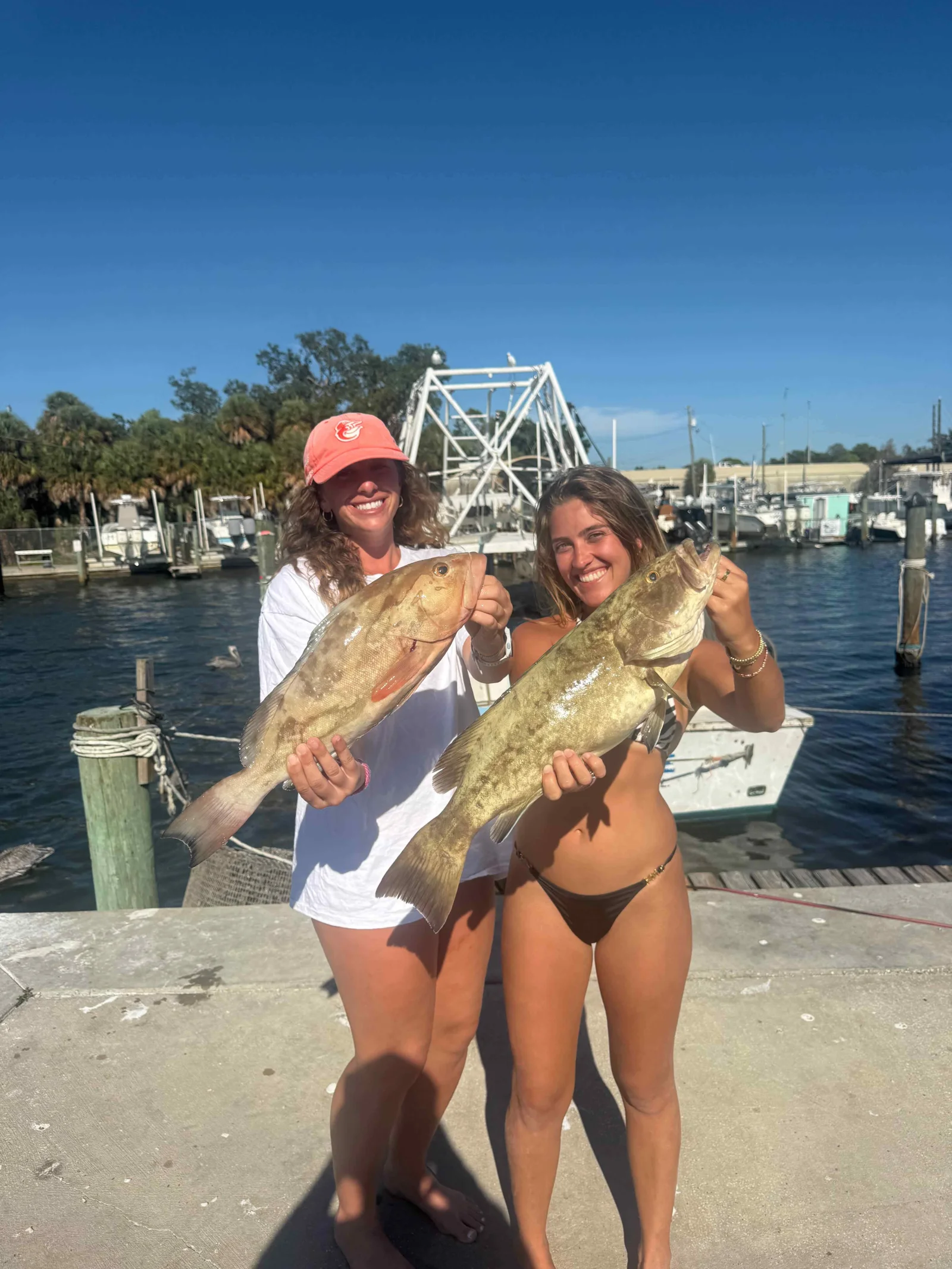 Fishing in St. Petersburg, Florida