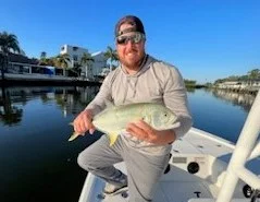 Jack Crevalle Fishing in Sarasota, Florida