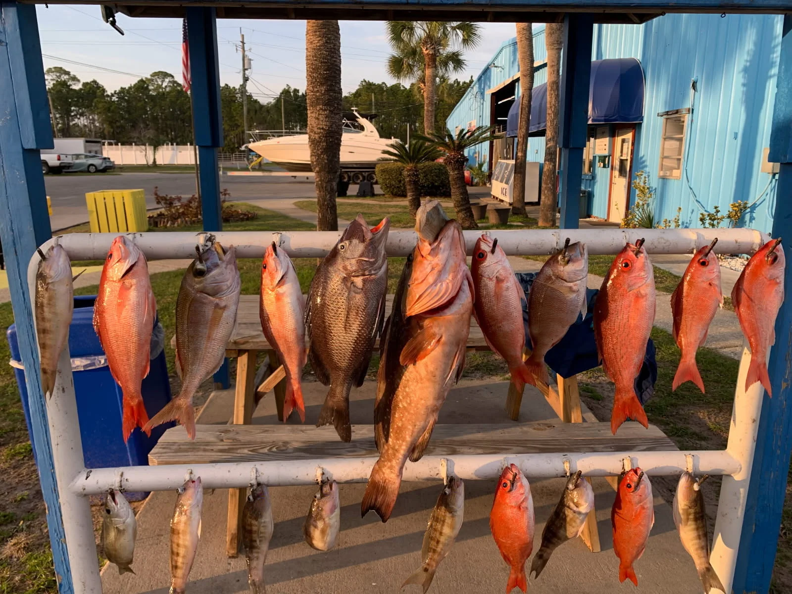 Fishing in Lynn Haven, Florida