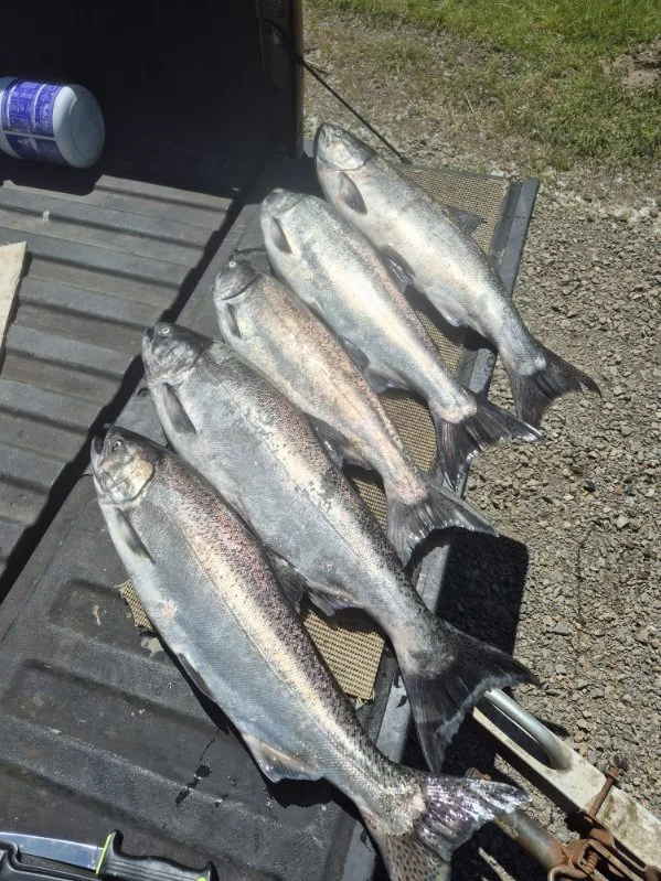 Fishing in Kalama, Washington