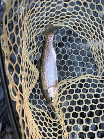 Fishing in Broken Bow, Oklahoma