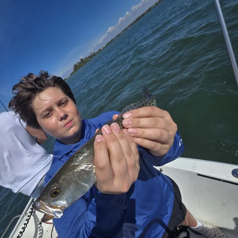 Fishing in Sarasota, Florida