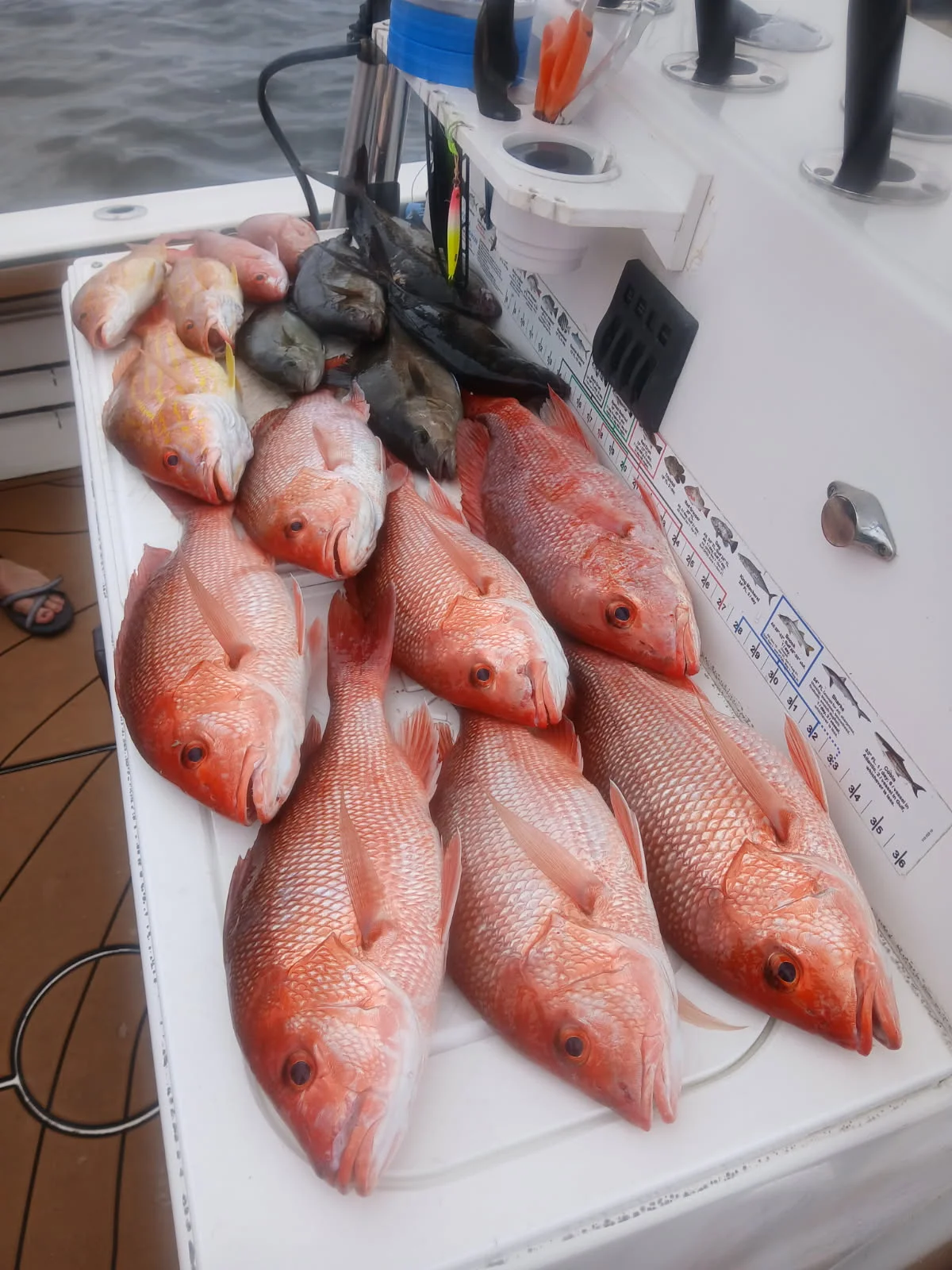 Fishing in Gulf Breeze, Florida