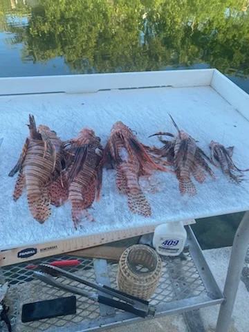Fishing in Key West, Florida