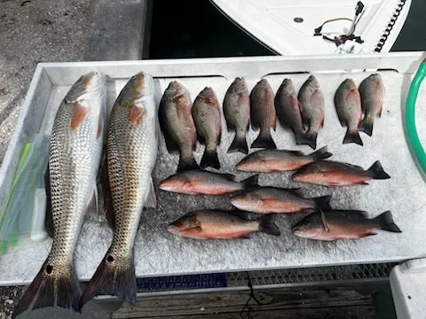 Fishing in Naples, Florida