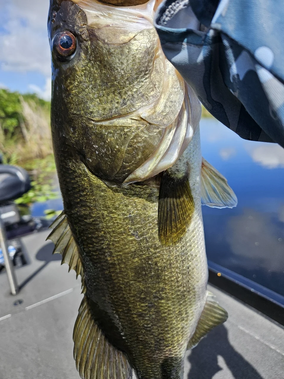 Fishing in Deerfield Beach, Florida