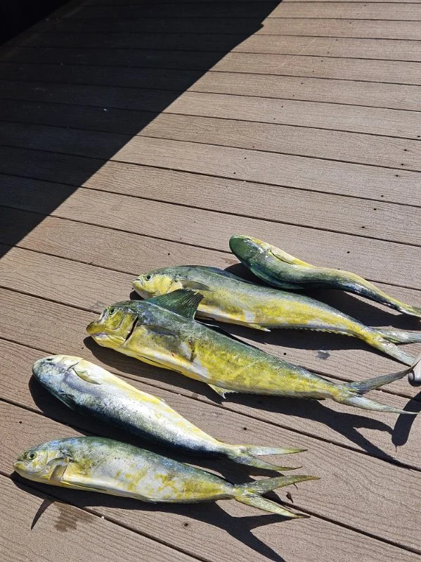 Fishing in Fort Lauderdale, Florida
