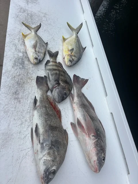 Fishing in St. Augustine, Florida
