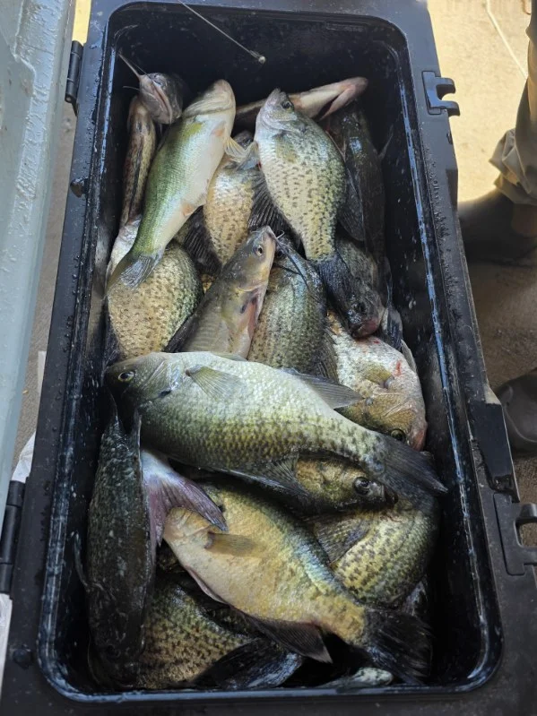 Fishing in Zavalla, Texas