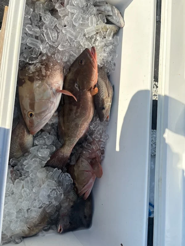 Fishing in Redington Shores, Florida