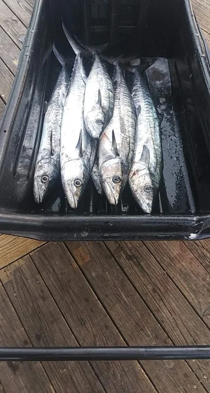 Fishing in Jacksonville, Florida
